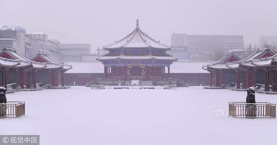 企业域名都在哪购买的
