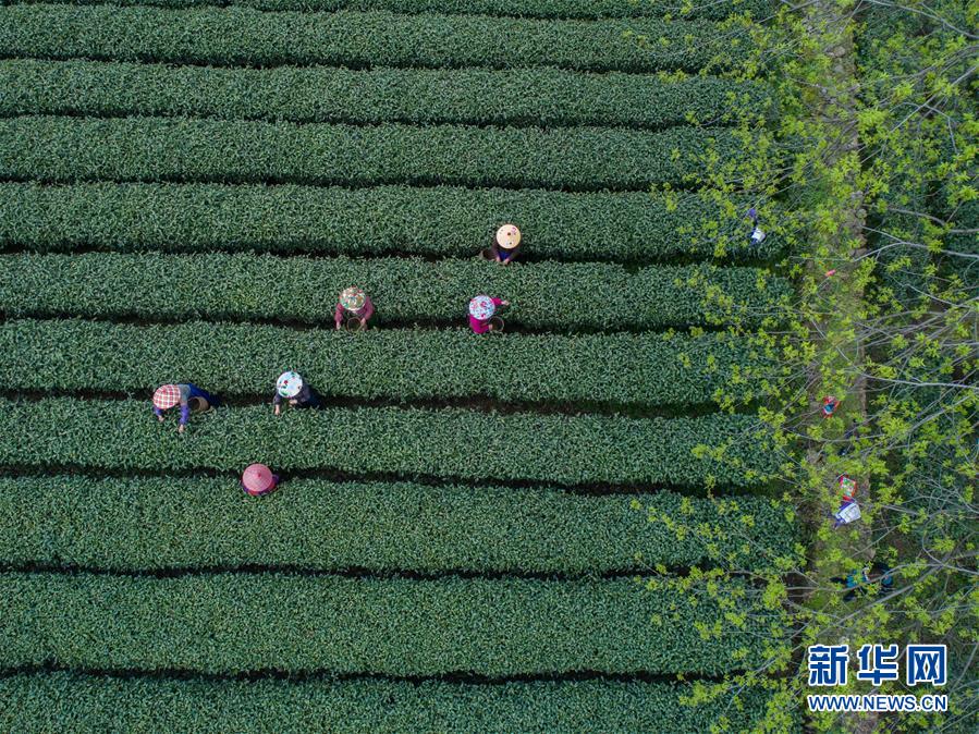 只购买云服务器不购买云数据库可行吗_云服务器入门
