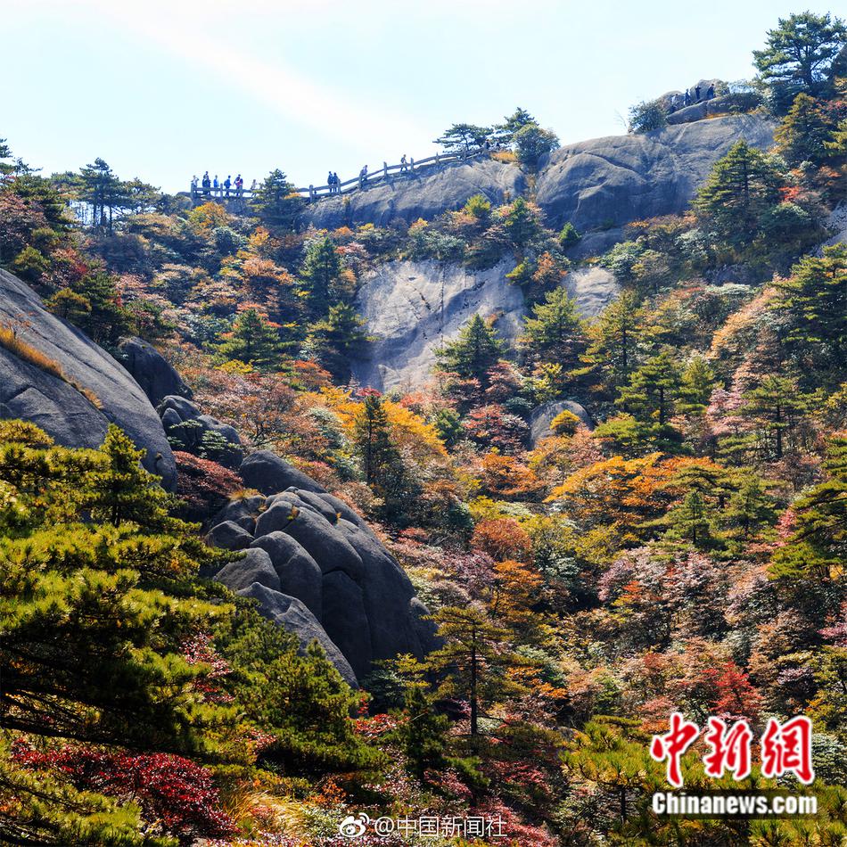 为什么大家都爱买“可乐圈”?