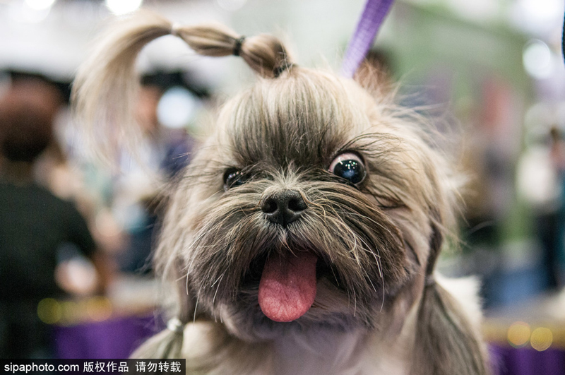 哈尔滨女车主站车顶维权:我没学历 就想讨个公道