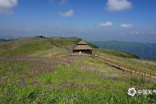 经常手腕或手指疼?当心腱鞘炎_云电脑升级