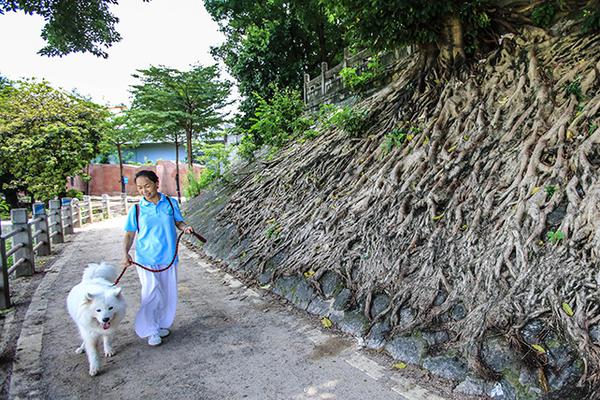 多城掀起“人才争夺战” 房地产市场格局难变_云电脑设计