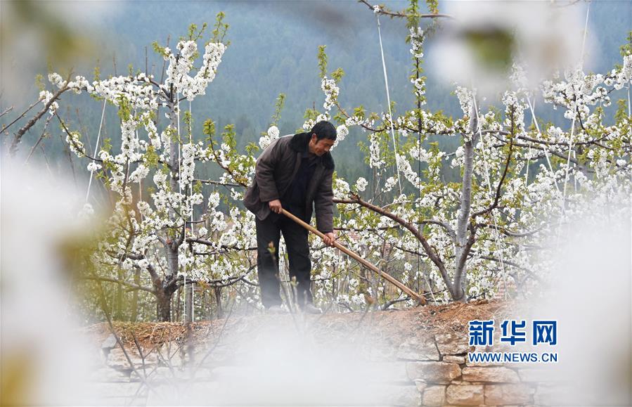 吕燕指控影儿集团抄袭反被扒曾抄大牌