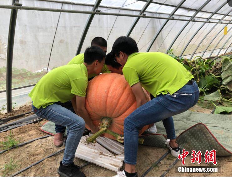 颤抖吧!考试作弊,高铁霸座将纳入失信_腾讯云星星海