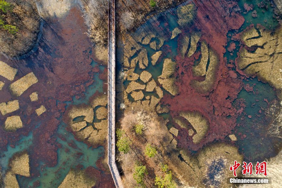 黄心颖还曾挑衅郑秀文(图)_百度智能云服务器