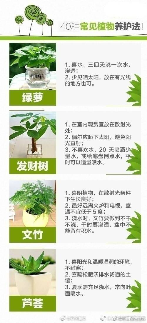 帕金斯:阿杜离开雷霆不因韦少 若他联手欧文将很特别