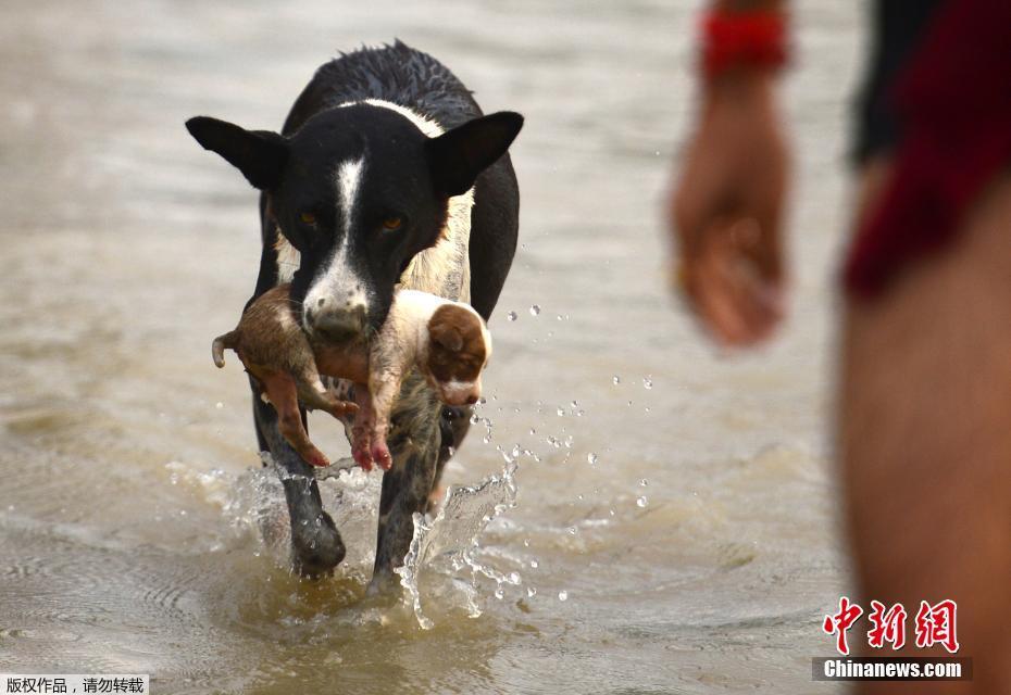 这类院校扩招100万 重点面向谁?